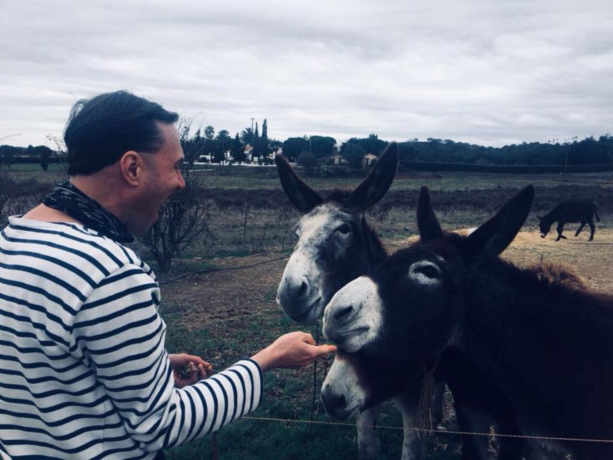 Videopremiere: In „Silhouette“ pflegt Patrick Siegfried Zimmer eine Gruppe von Eseln