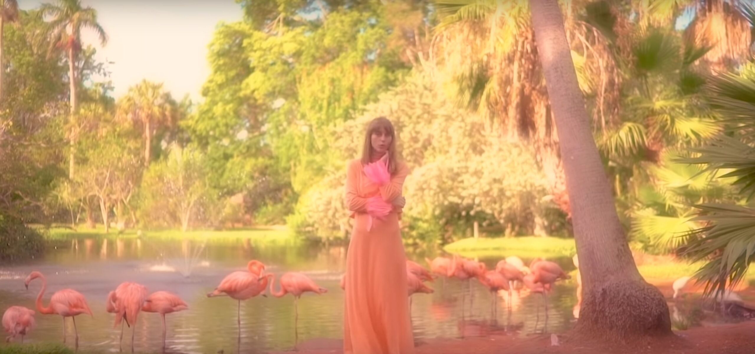 Die Singer-Songwriterin Faye Webster performt im Video zu ihrer neuen Single „Kingston“ zwischen Flamingos