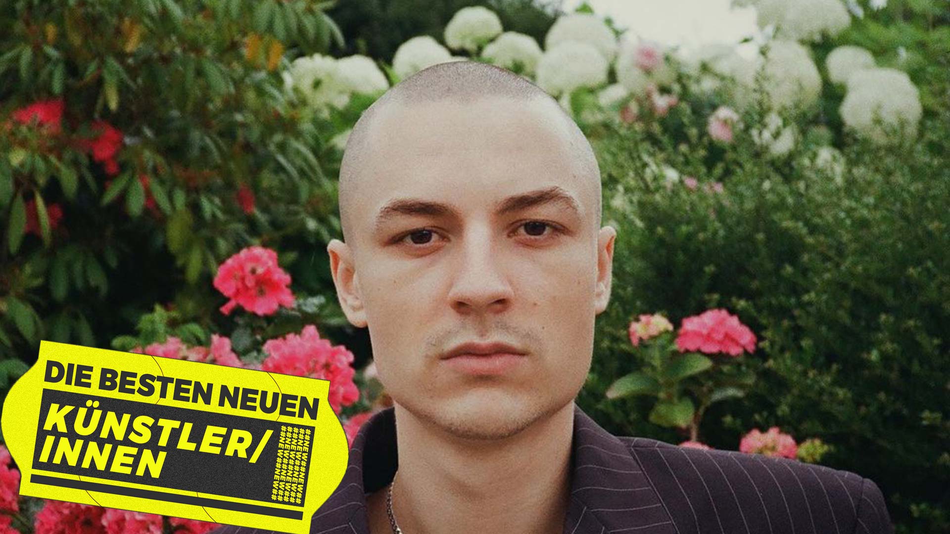 Beitragsbilder-Website_tomblanc