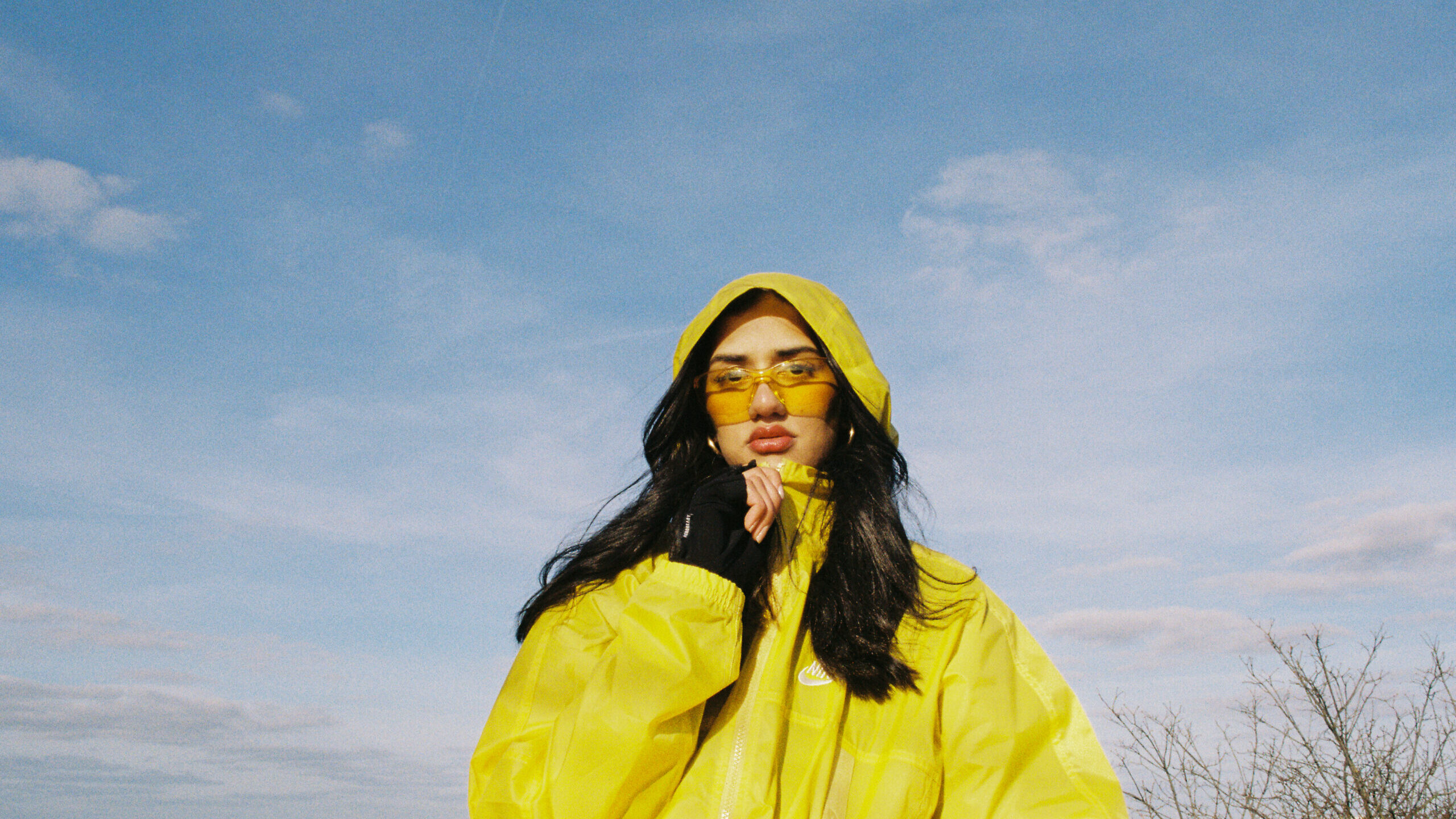 Wa22ermannPF1__rosa.lotta